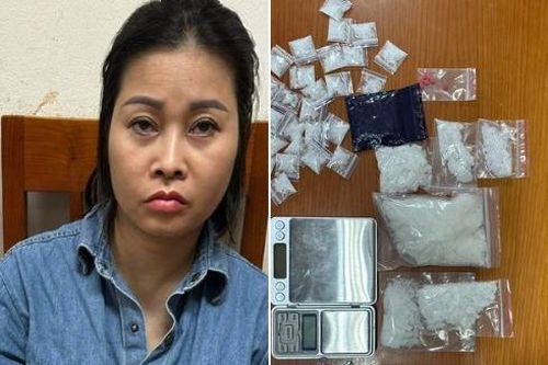 Bắt nữ chủ nhà nghỉ mua bán, tổ chức sử dụng trái phép chất ma túy
