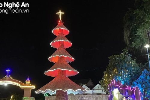 Cây thông Noel gắn hàng triệu vỏ nhuyễn thể biển ở Nghệ An được công nhận kỷ lục Việt Nam