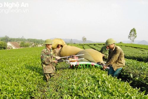 Đồng bào công giáo huyện Anh Sơn sống tốt đời, đẹp đạo