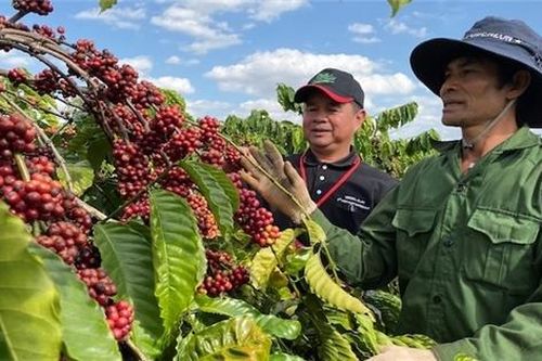 Nestlé Việt Nam tiếp tục dẫn đầu về phát triển bền vững