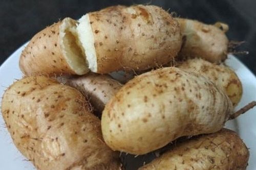 Công dụng kỳ diệu của củ từ