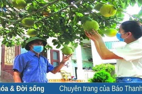Vườn đẹp, trang trại kiểu mẫu tạo động lực thúc đẩy XDNTM nâng cao