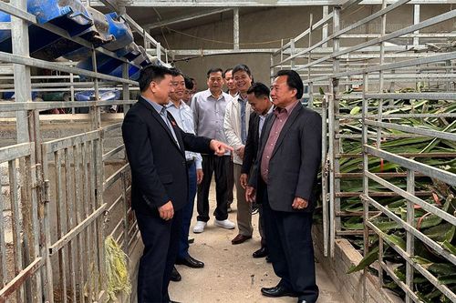 Đại biểu HĐND 3 tỉnh Bắc Lào tham quan một số dự án, mô hình kinh tế tiêu biểu của tỉnh Điện Biên