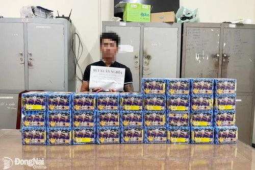 Tạm giữ đối tượng tàng trữ 31 thùng pháo hoa trái phép