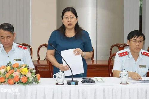 Bộ TN-MT công bố kết luận thanh tra 4 cơ quan, 9 tổ chức ở Đồng Nai