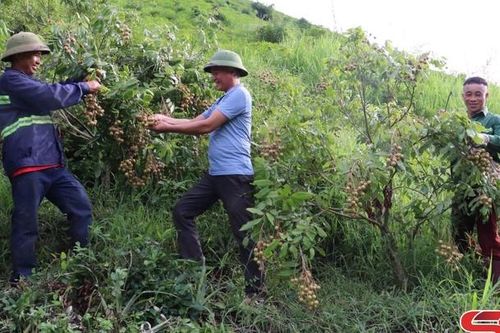 Khởi sắc các xã biên giới Sông Mã • Kỳ II: Thành quả của những nỗ lực