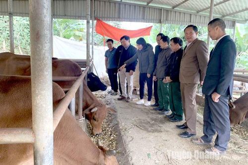 Yên Sơn đánh giá dự án tuyên truyền, vận động nông dân xử lý rác thải