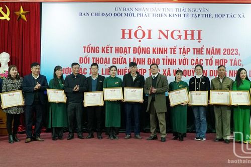 Doanh thu của các hợp tác xã tăng trưởng hơn 10%