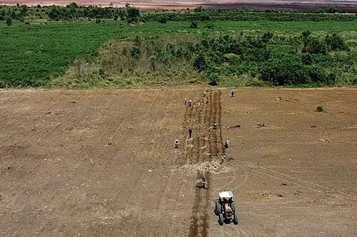 Sân bay Long Thành: Người dân hoàn trả đất đã chiếm dụng