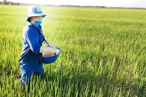 Giá vật tư nông nghiệp tăng 'chóng mặt', HTX, doanh nghiệp mong có giải pháp ứng phó