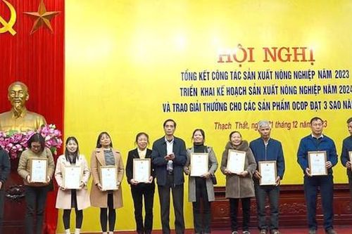 Thạch Thất: Diện tích gieo trồng vụ đông 2023-2024 vượt kế hoạch