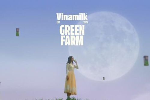 Giới trẻ đua nhau giải mã brand film Việt Nam áp dụng Quiet Storytelling: Phong cách truyền thông được 'gã khổng lồ' Apple, Meta và IKEA sử dụng