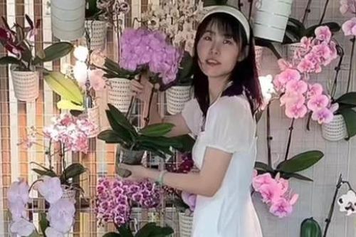 Cận cảnh phòng khách với 1000 chậu lan hồ điệp của cô gái trẻ, đẹp đến 'nghẹt thở'