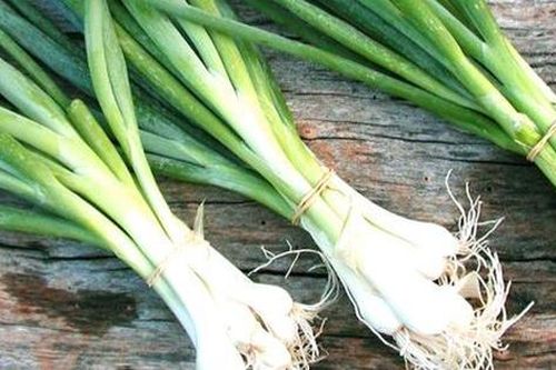 Món ăn bài thuốc từ gừng, hành, ngải cứu giúp 'phòng chống rét'