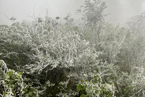 Băng giá phủ trắng La Pán Tẩn, Yên Bái