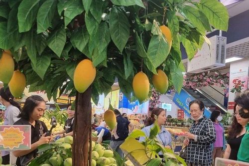 TPHCM đẩy mạnh kết nối liên vùng