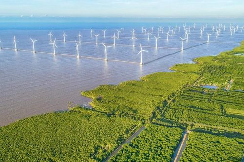 Tỉnh Bạc Liêu mạnh về kinh tế biển trong khu vực