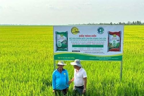 Lê Quốc Phong- người gắn bó với nông dân