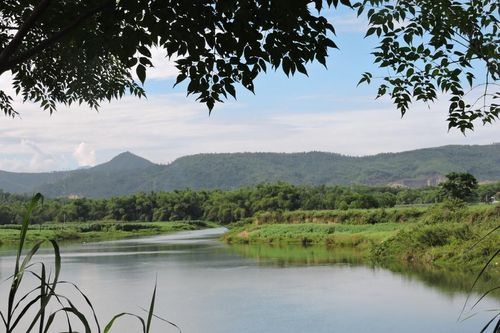 Chút bình yên Túy Loan