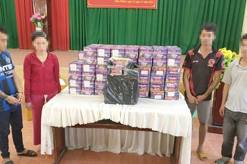 Bắt đường dây mua bán pháo nổ, phát hiện nhiều cá thể động vật đông lạnh