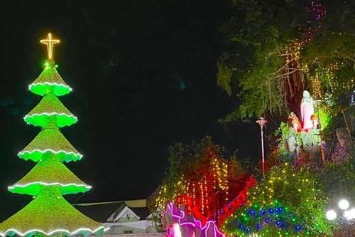 Công nhận kỷ lục Việt Nam cho cây thông Noel làm từ hàng triệu vỏ sò, ốc, hến