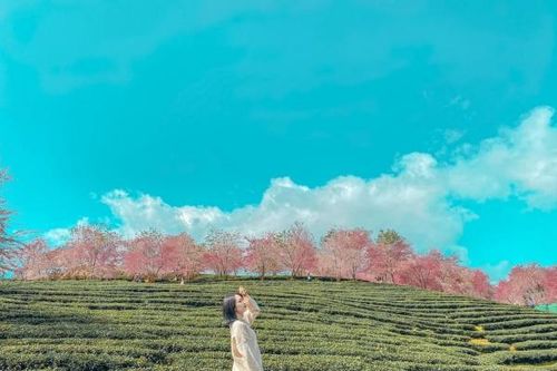 Các điểm du lịch mới hấp dẫn ở Lào Cai