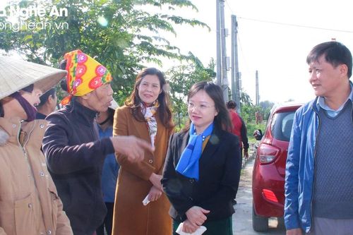 Huyện Hưng Nguyên đề xuất thu hồi diện tích đất nông nghiệp không đủ điều kiện sản xuất khi thực hiện Dự án đường bộ cao tốc Bắc-Nam
