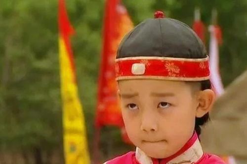 Người con trai 'thông minh nhất' của Ung Chính, giả làm một tên ngốc cả đời, đảm bảo cho con cháu cuộc đời vinh hoa phú quý, viết một câu thơ mà được người người biết đến