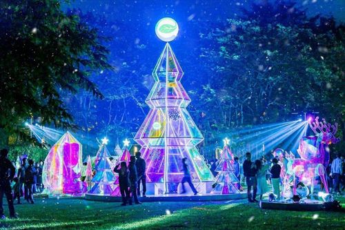 Giáng sinh rực rỡ sắc màu tại 'khu rừng pha lê' tuyết trắng Ecopark