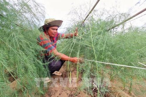Ứng dụng khoa học tạo đột phá về năng suất chất lượng sản phẩm