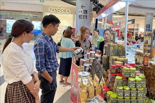Hội chợ Made in Vietnam năm 2023 tổ chức tại quận Thanh Xuân, Hoàng Mai