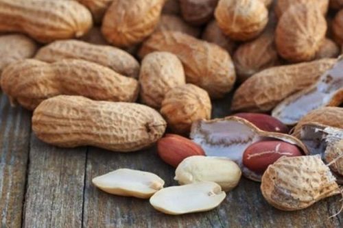 Nhiều lợi ích khi ăn lạc vào mùa đông