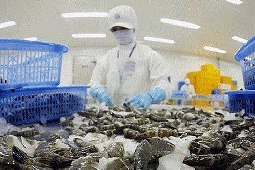 Xuất khẩu tôm năm 2023 dự kiến đạt 3,4 tỷ USD
