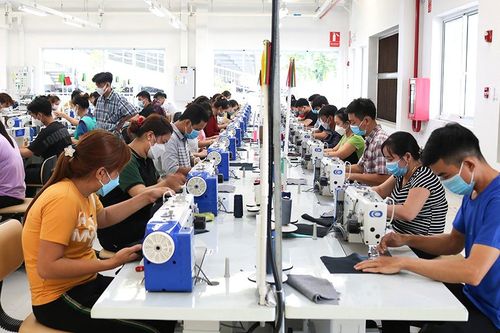 Thị trường lao động khởi sắc