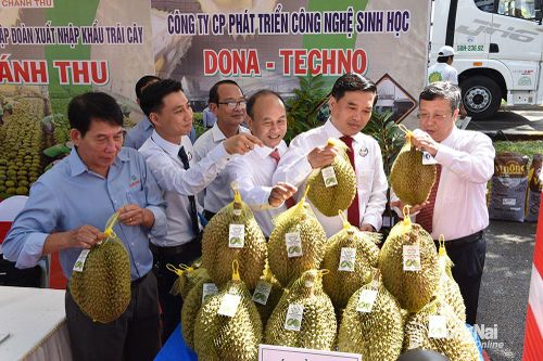 Chú trọng phát triển nông nghiệp công nghệ cao