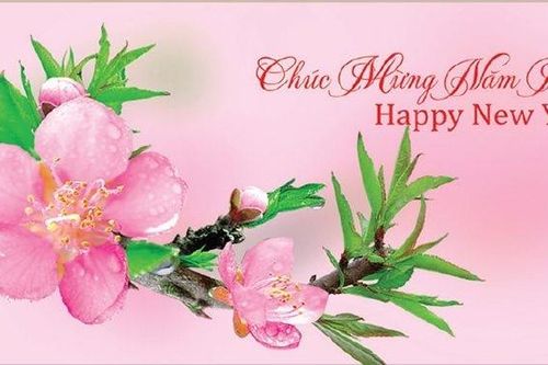 Tấm thiệp xưa