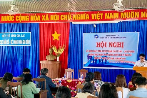 Gia Lai: Tổng kết công tác dân số năm 2023