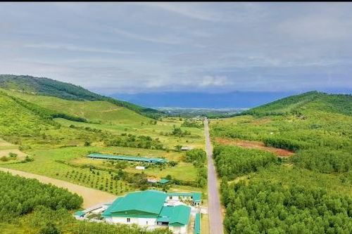 Chương trình mục tiêu quốc gia giảm nghèo bền vững Ninh Hòa: Đổi thay ở Ninh Tân
