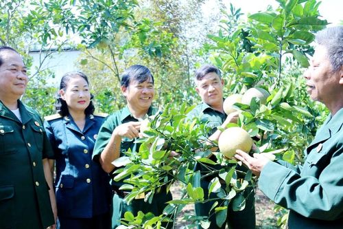 Sáng ngời phẩm chất 'Bộ đội Cụ Hồ' giữa đời thường