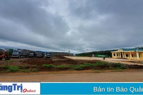 3 trạm cân thu mua gỗ rừng trồng hoạt động trái phép tại huyện Gio Linh