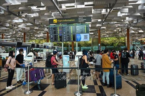 Công bố danh sách những đường bay bận rộn nhất thế giới năm 2023