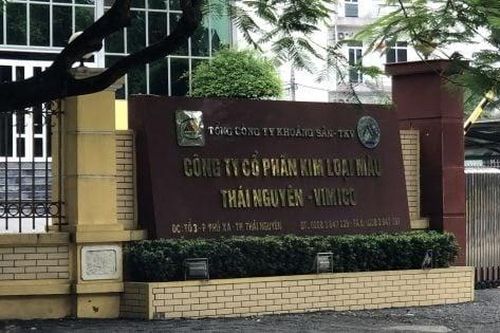 Kiểm toán nói gì về Công ty Kim loại màu Thái Nguyên - Vimico?