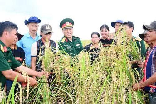 Bài 2: Sáu Tâm là bộ đội của dân làng