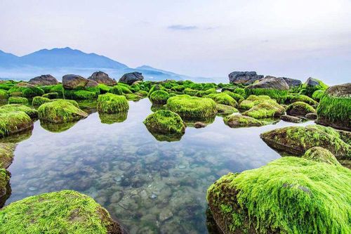 Đà Nẵng: Lập quy hoạch công viên sinh thái ghềnh Nam Ô