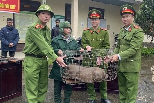 'Trao sinh kế, đổi vũ khí'