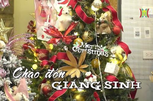 Chào đón Giáng sinh | Nhịp sống Hà Nội | 22/12/2023