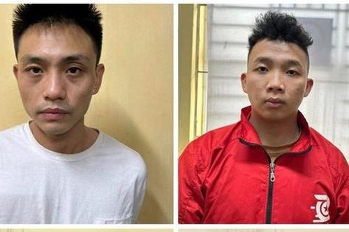 Triệt phá đường dây trộm cắp tiêu thụ xe gian