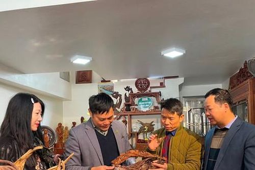 Thẩm định 4 xã xây dựng nông thôn mới nâng cao và kiểu mẫu ở Đông Anh