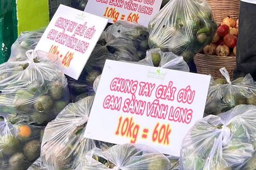 Nhiều nơi ở TP.HCM đồng loạt giải cứu cam sành giá 6.000 đồng/kg