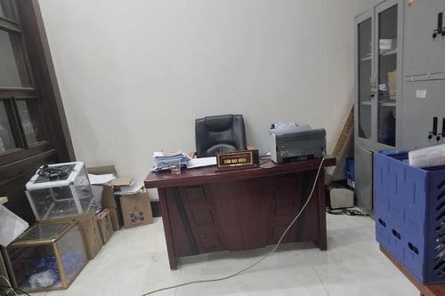 Thanh Hóa: Tại sao doanh nghiệp không tiếp cận được hồ sơ đấu giá lô 'đất vàng' hơn 104 nghìn m2 ?